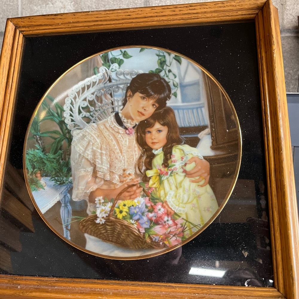 Framed China collectors plate